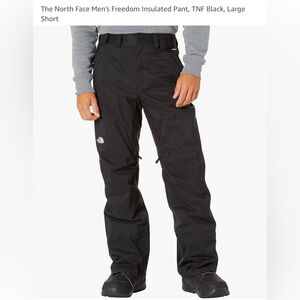 Men’s North Face Freedom Insulated Ski Pant